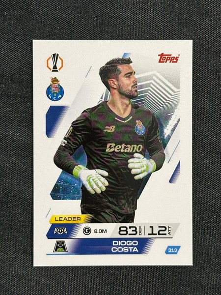 Diogo Costa #313