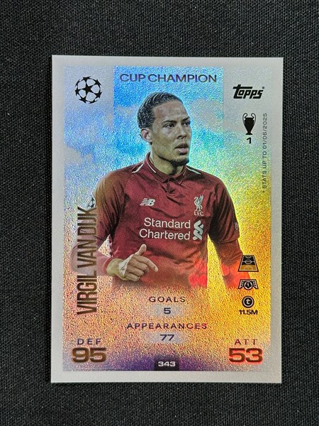 Virgil van Dijk #343