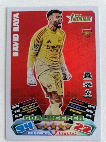 David Raya #388