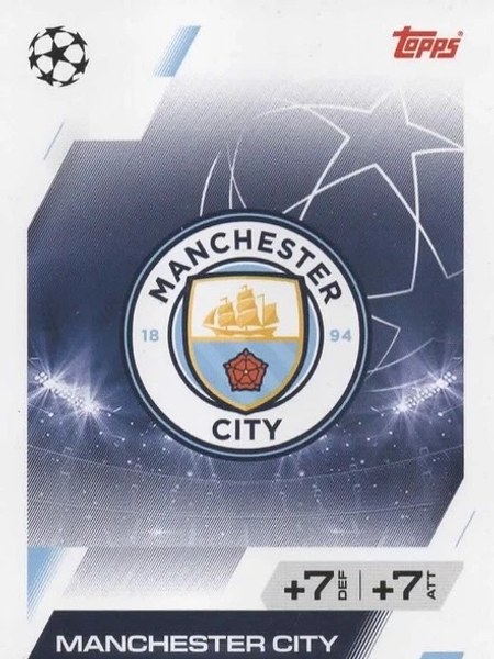 Team Badge #46
