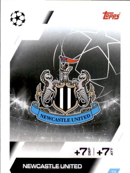 Team Badge #73