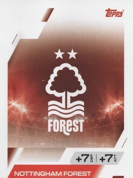 Team Badge #91